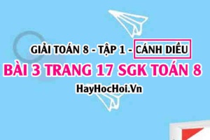Giải bài 3 trang 17 Toán 8 Tập 1 SGK Cánh Diều